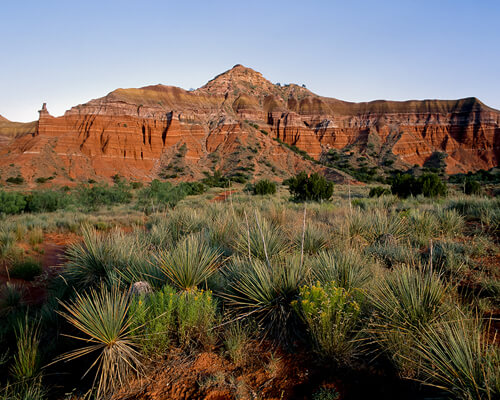 EagleClaw Midstream - Environment