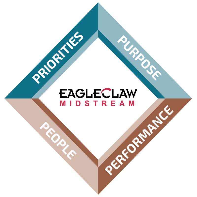 Environment, Safety and Governance Diamond